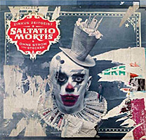 saltatio-mortis-akustik